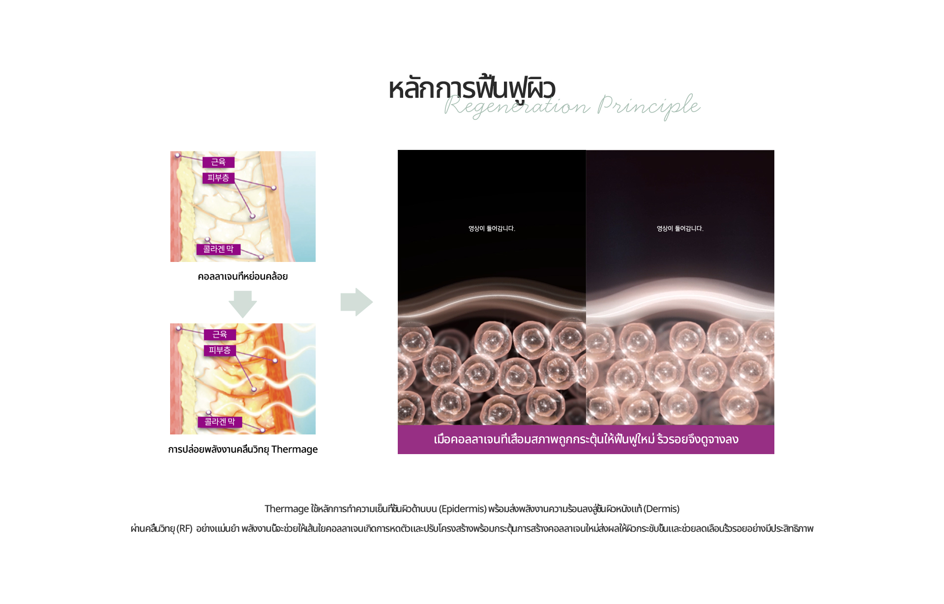 [หลักการฟื้นฟูผิว] กระตุ้นคอลลาเจนที่เสื่อมสภาพให้ฟื้นฟูใหม่ ริ้วรอยจึงดูจางลง