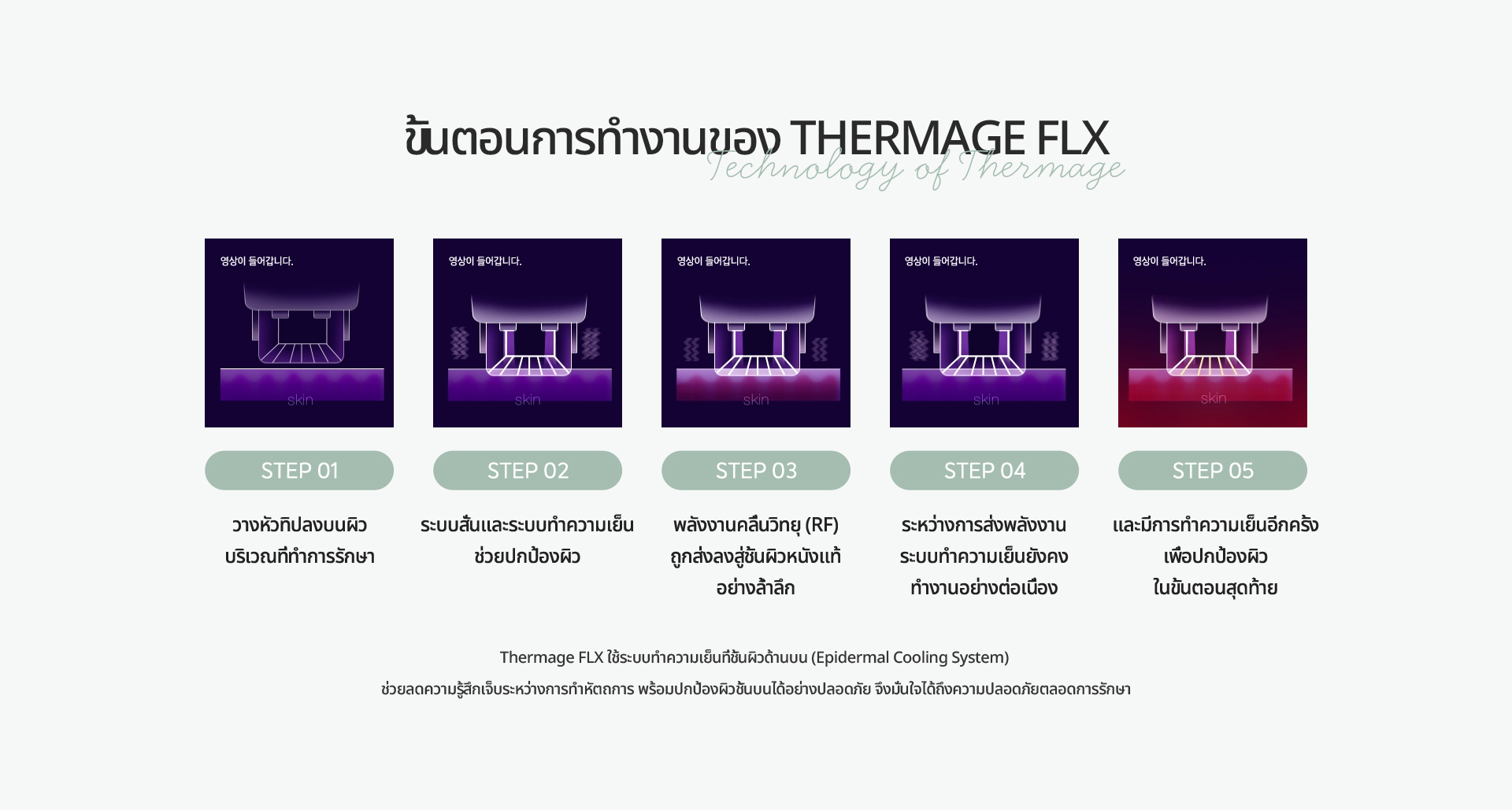 [ขั้นตอนการทำงานของ THERMAGE FLX] [STEP 01] [STEP 02] [STEP 03] [STEP 04] [STEP 05]